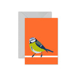 Blue Tit