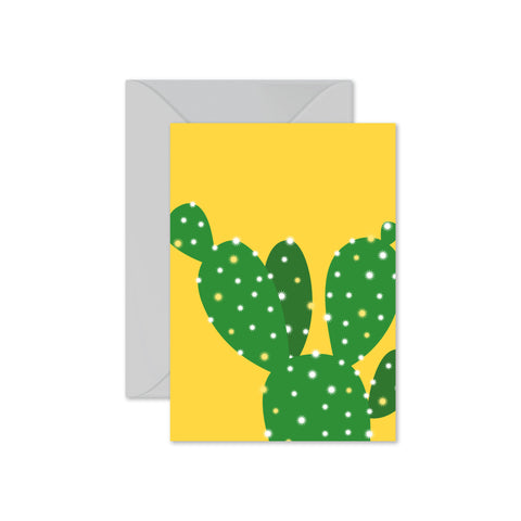 Bunny Ears Cactus (Opuntia Microdasys)