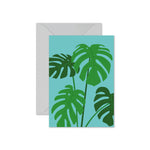 Swiss Cheese Plant (Monstera Deliciosa)