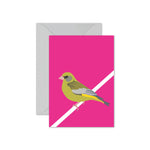 Greenfinch