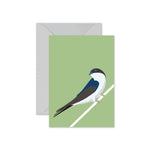 House Martin