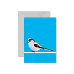 Long-Tailed Tit