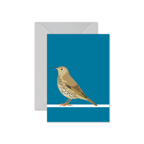 Song Thrush